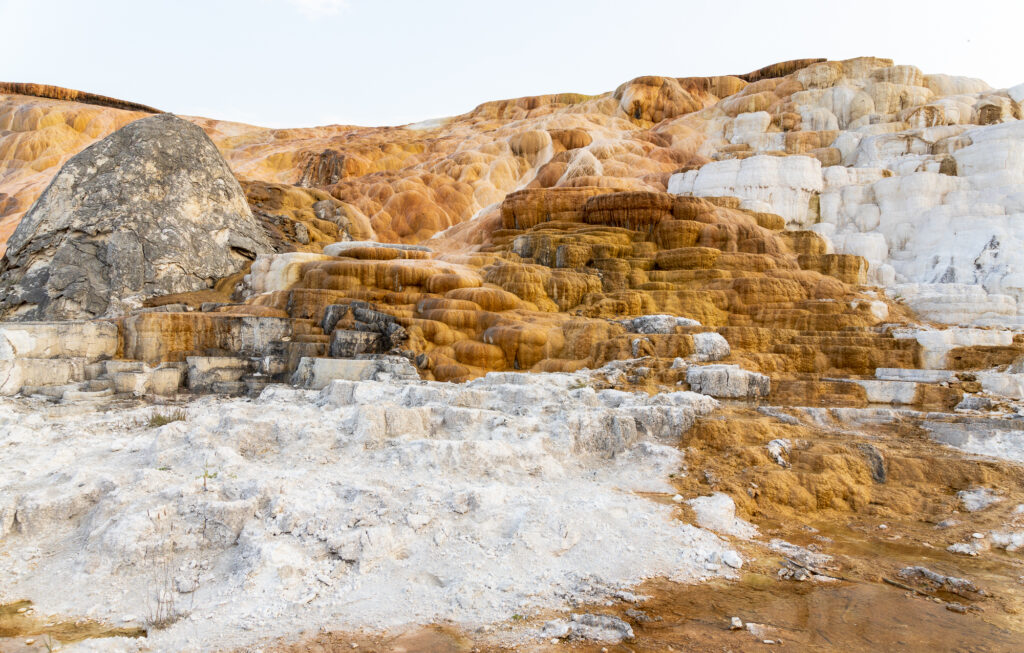 Palette Spring