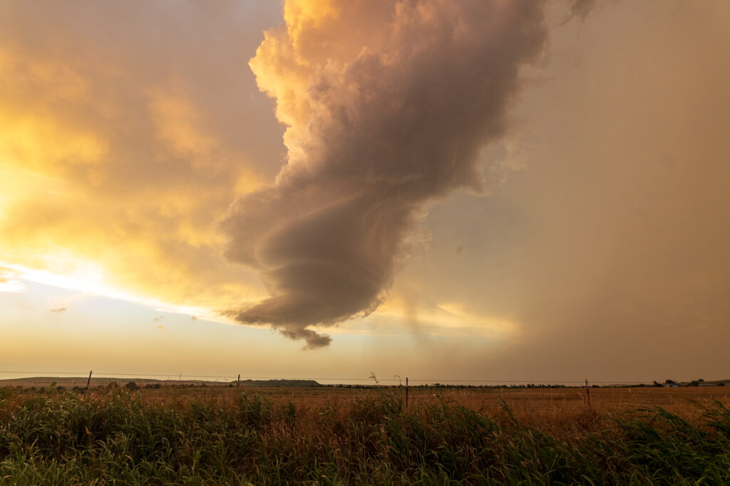 Shriveling Storm